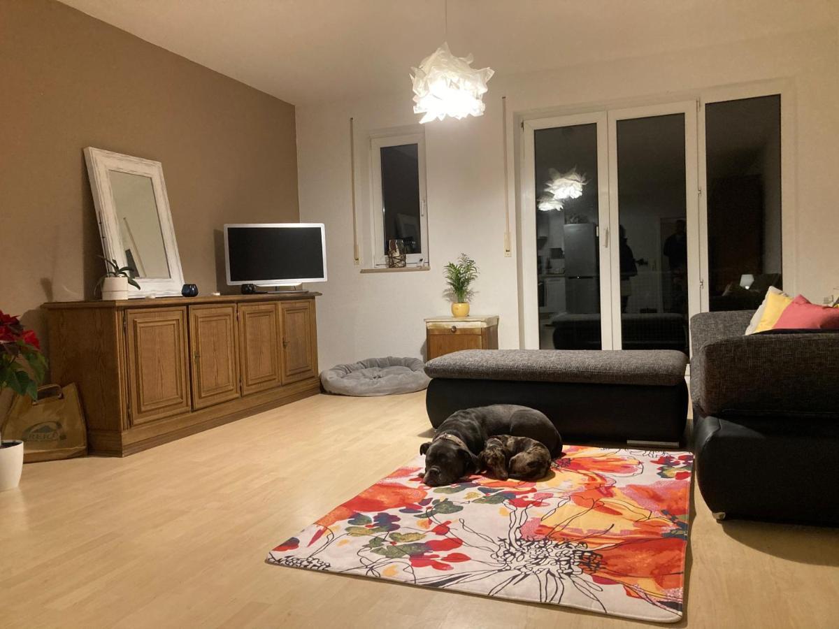3 Zi Wohnung Haustiere Willkommen Im Markgraeflerland Dreilaendereck Шлинген Екстериор снимка
